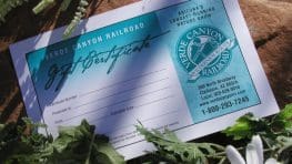 verde canyon gift certificate